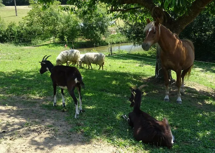Feriehus Terre Et Eau Sevremont